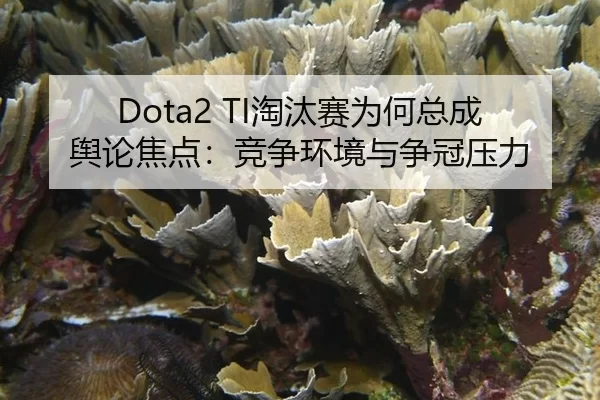 tao-tai-sai-wei-he-zong-cheng-yu-lun-jiao-dian-jing-zheng-huan-jing-yu-zheng-guan-ya-li-2-800.jpg